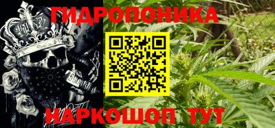 шишки Берёзовский
