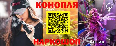 шишки Берёзовский