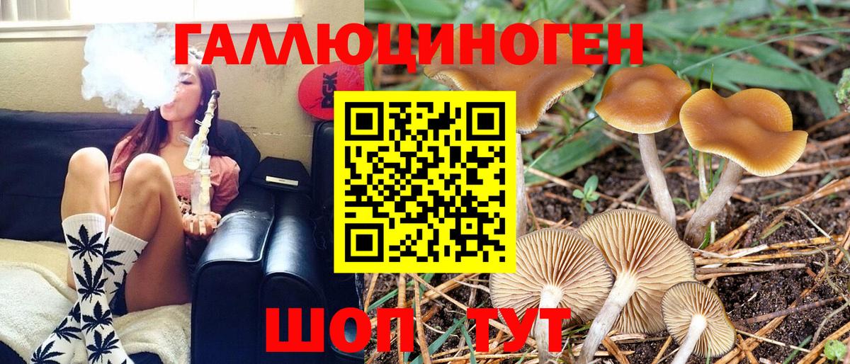Галлюциногенные грибы MAGIC MUSHROOMS Кириши