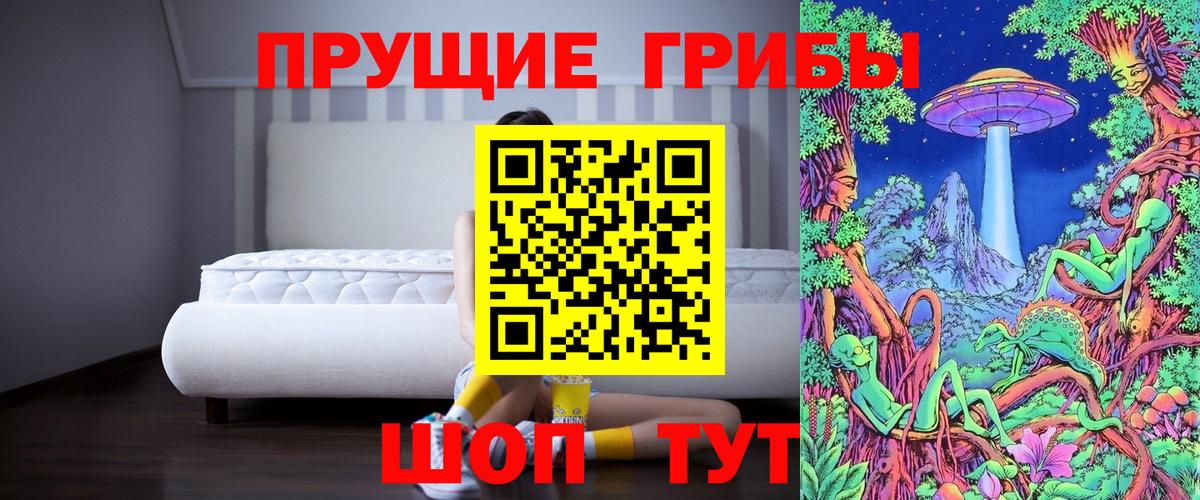 Кириши  Галлюциногенные грибы Cubensis  Вход с VPN  Псилоцибиновые грибы Cubensis 