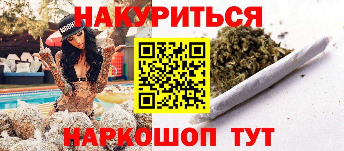 Конопля сатива Кириши